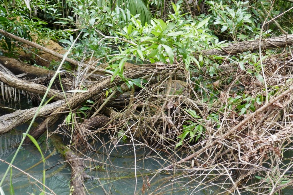 Balade sur un trait d'union