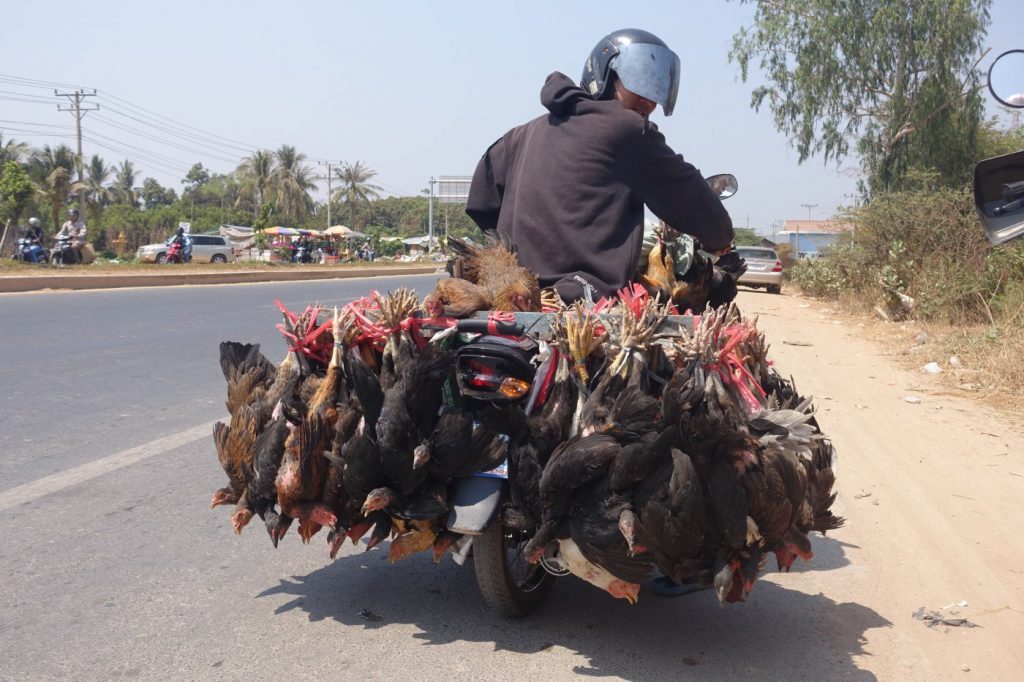 Retour sur Phnom Penh