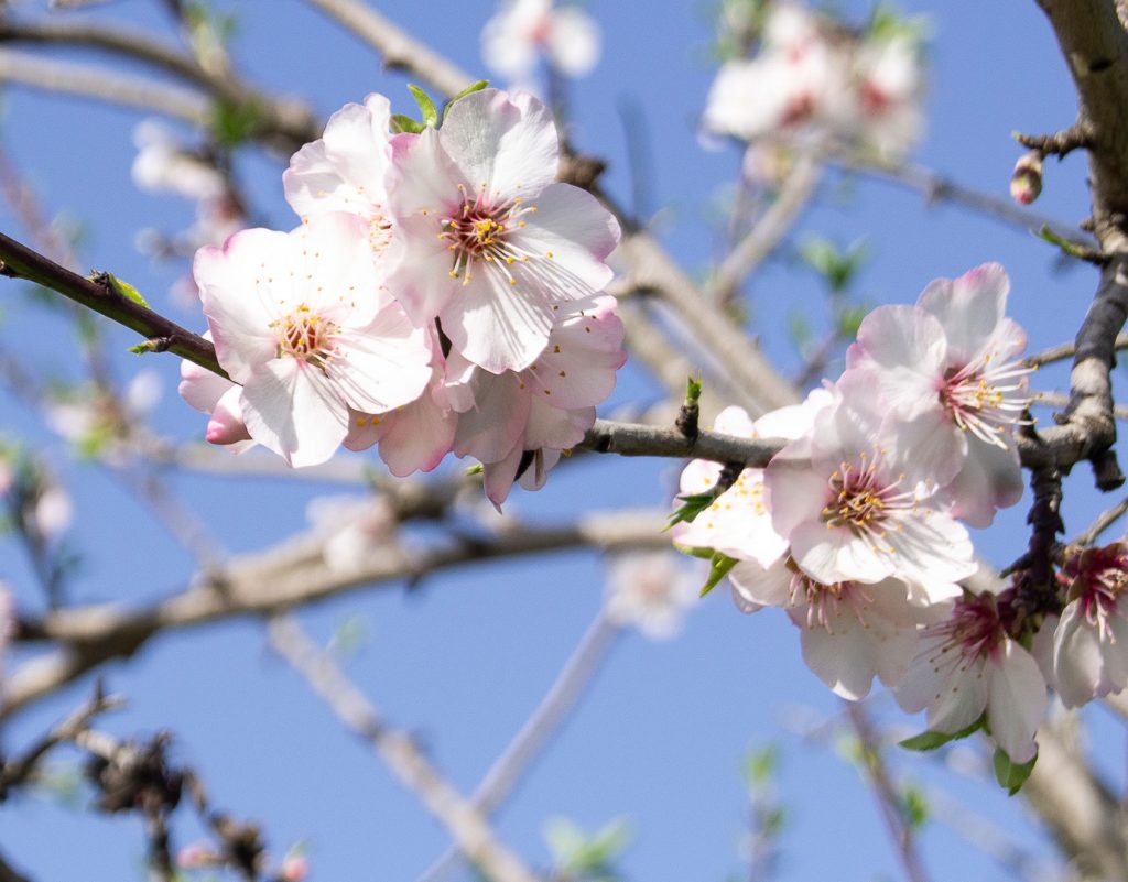 Légendes du Portugal